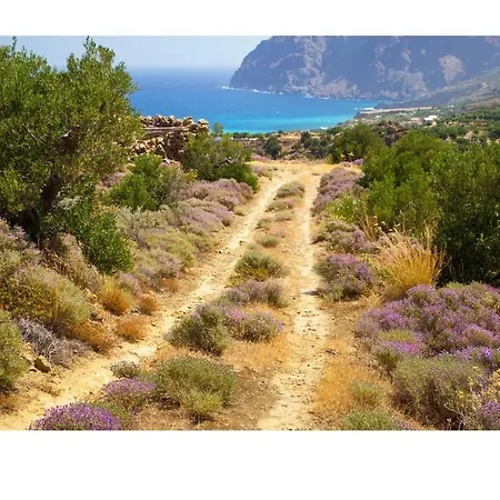 X Village 3* Melidhonion (Rethymno)